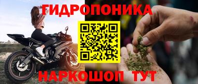 сатива Гай