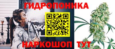 сатива Гай
