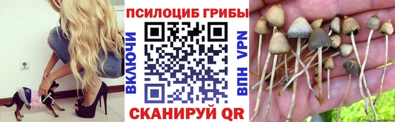 Галлюциногенные грибы MAGIC MUSHROOMS  Ярцево 