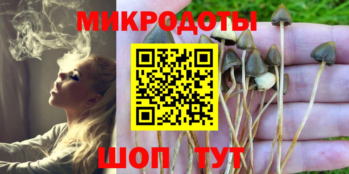 Псилоцибиновые грибы Cubensis Ярцево